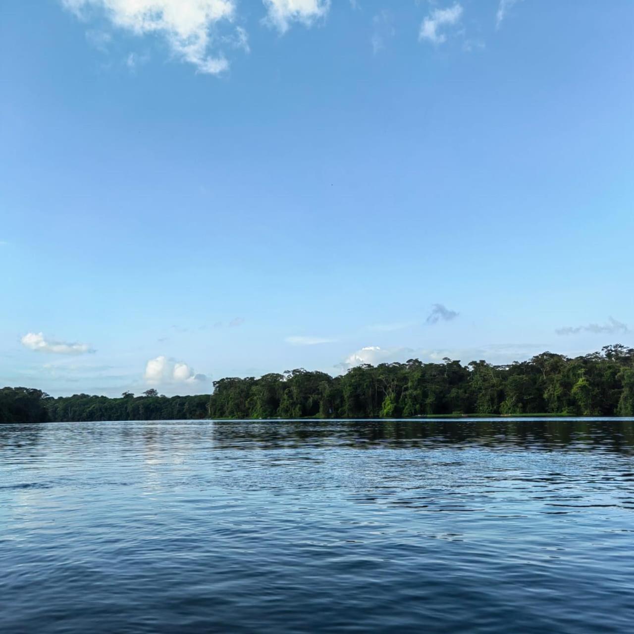 Tortuguero Villas מראה חיצוני תמונה