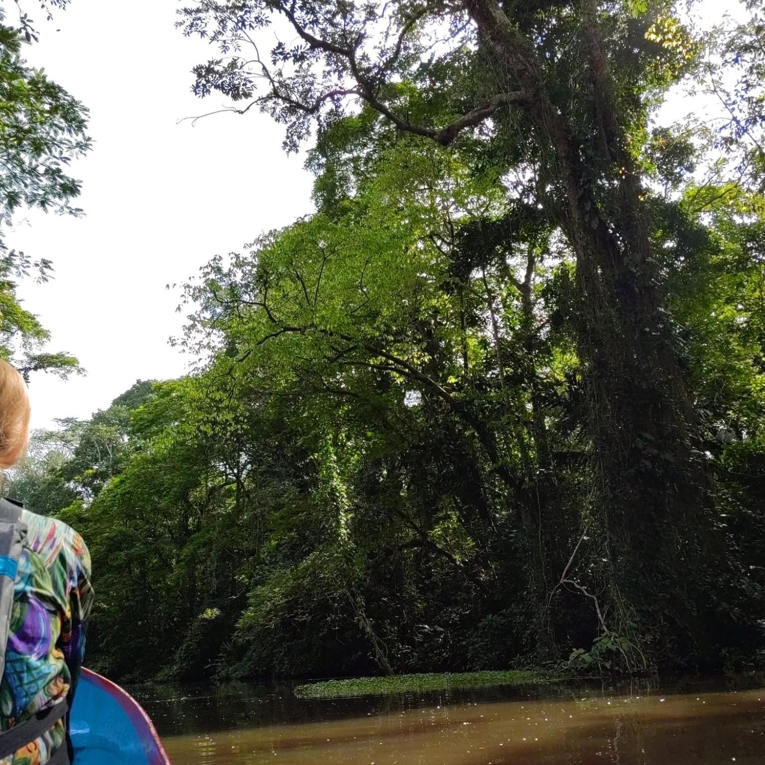 Tortuguero Villas מראה חיצוני תמונה