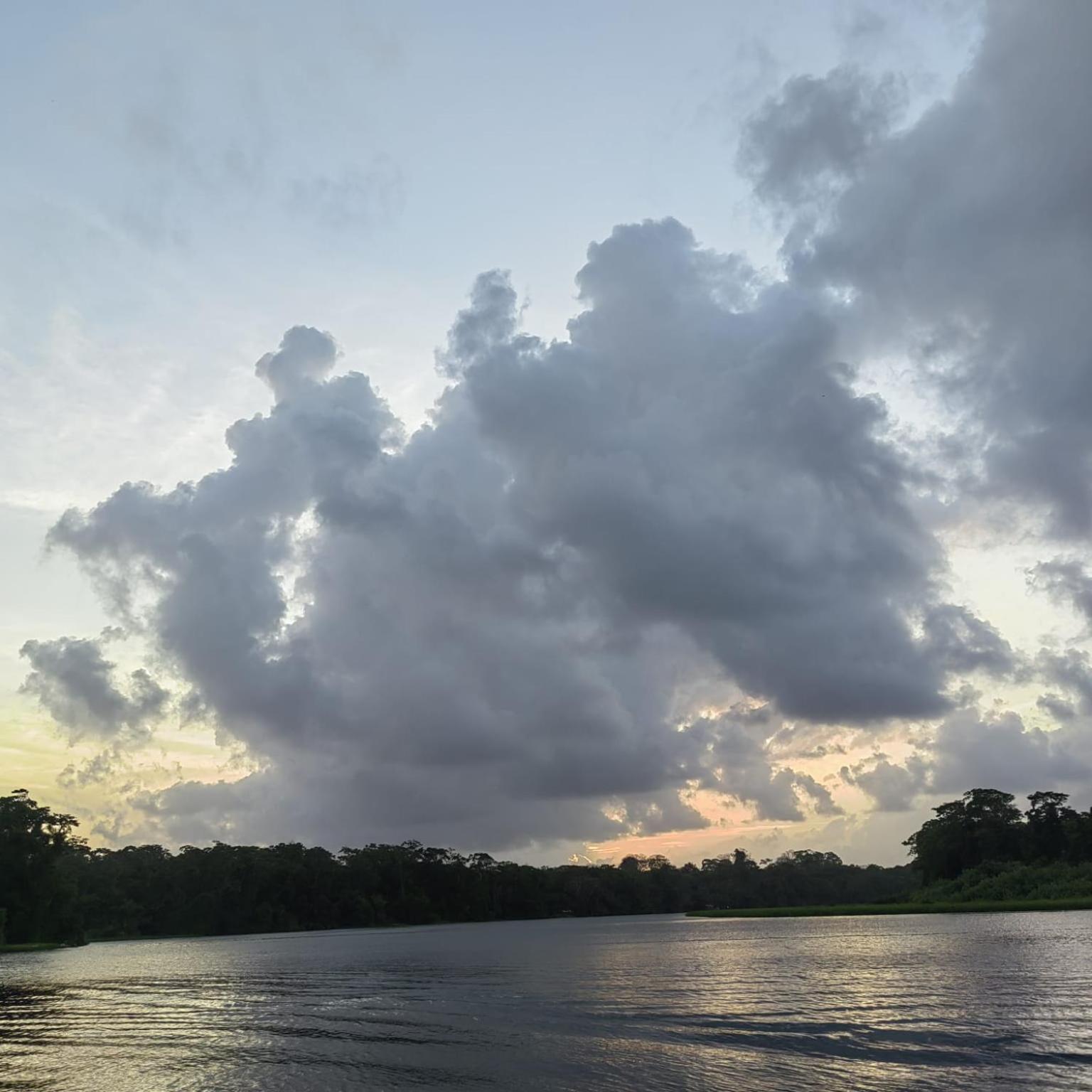 Tortuguero Villas מראה חיצוני תמונה