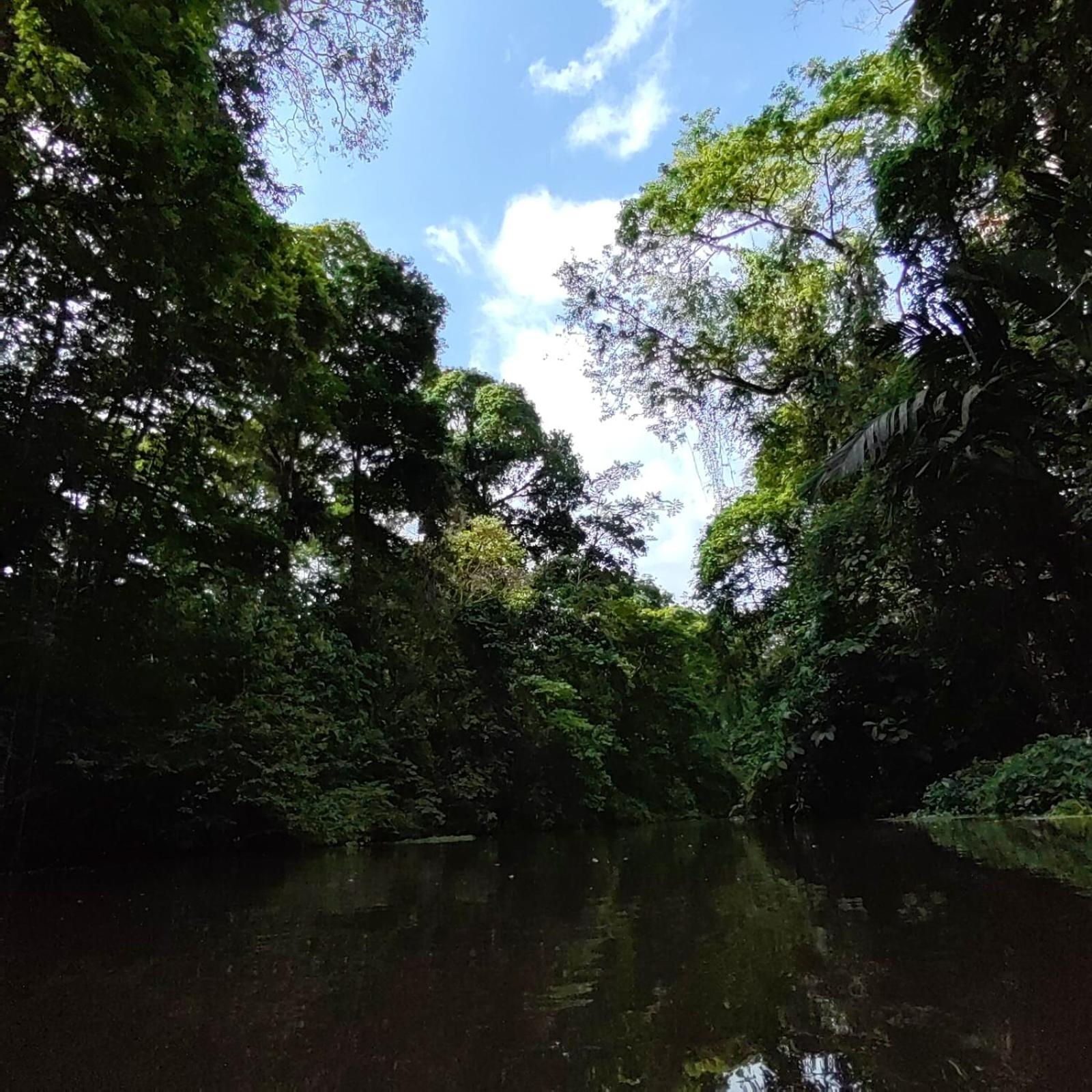 Tortuguero Villas מראה חיצוני תמונה